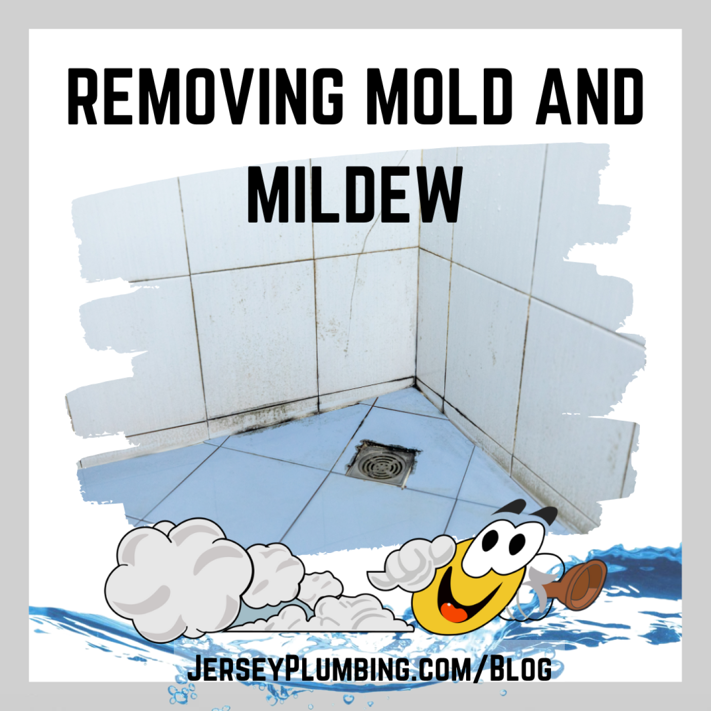 Mold Mildew