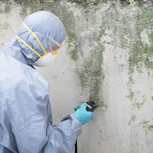 mold_remediation